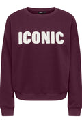 Onlsweat Life L/s Crew O.Size State Noos